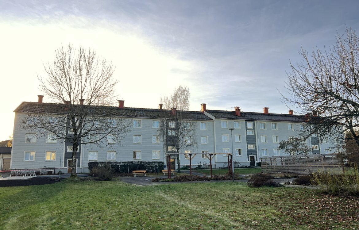 Gräsmatta med trevåningshus i bakgrunden